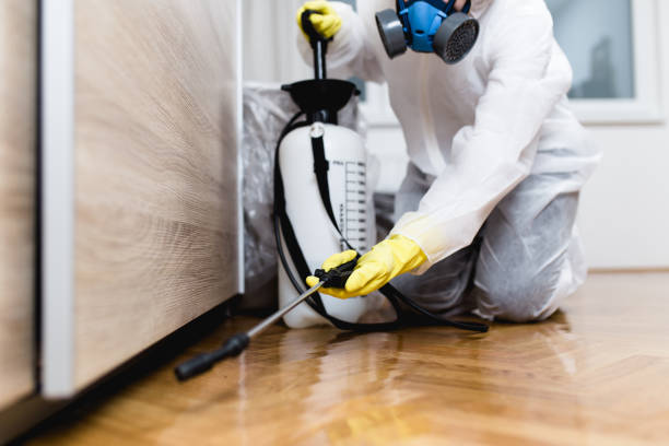 Best Bed Bug Extermination  in Bicknell, IN