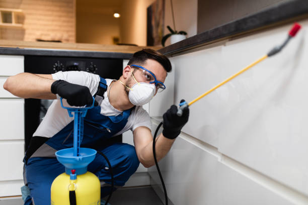 Professional Pest Control in Bicknell, IN