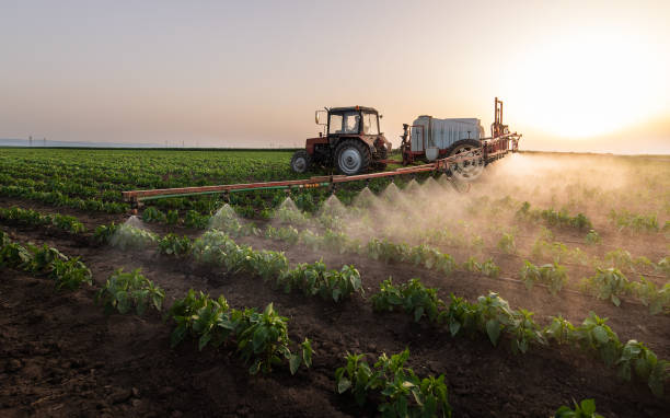 Reliable Bicknell, IN Pest Control Solutions