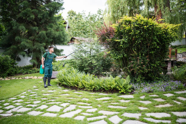 Best Residential Pest Control  in Bicknell, IN