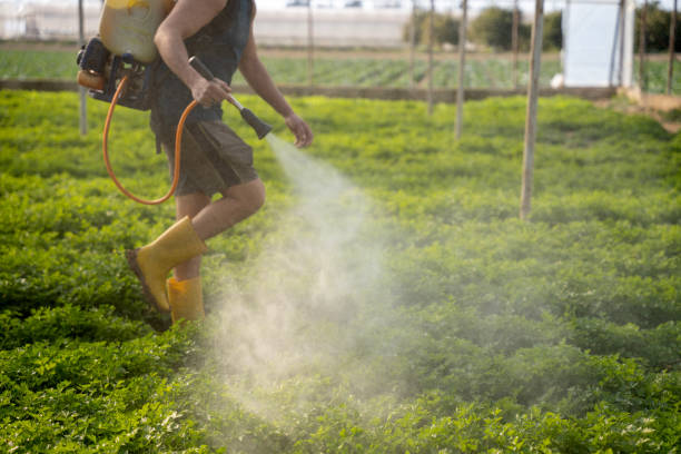 Pest Control for Restaurants in Bicknell, IN