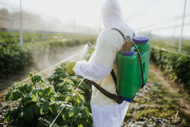 Best Cockroach Control Services  in Bicknell, IN